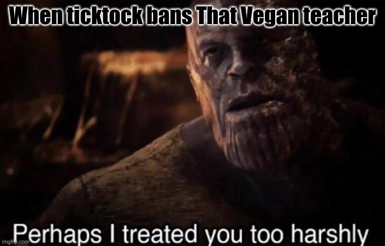 Perhaps I treated you too harshly | When ticktock bans That Vegan teacher | image tagged in perhaps i treated you too harshly,vegan,tik tok,thanos | made w/ Imgflip meme maker
