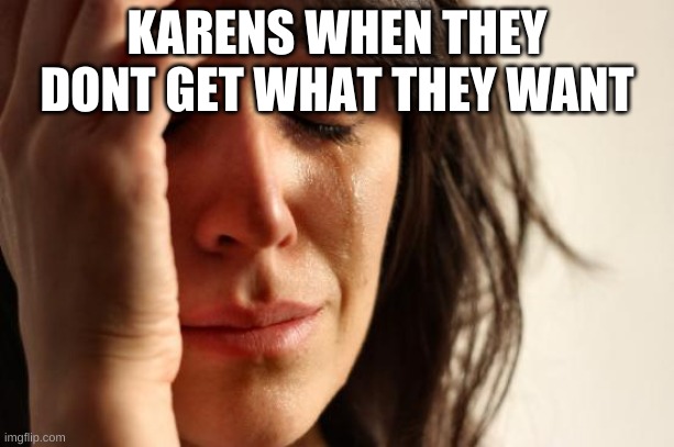 First World Problems | KARENS WHEN THEY DONT GET WHAT THEY WANT | image tagged in memes,first world problems | made w/ Imgflip meme maker