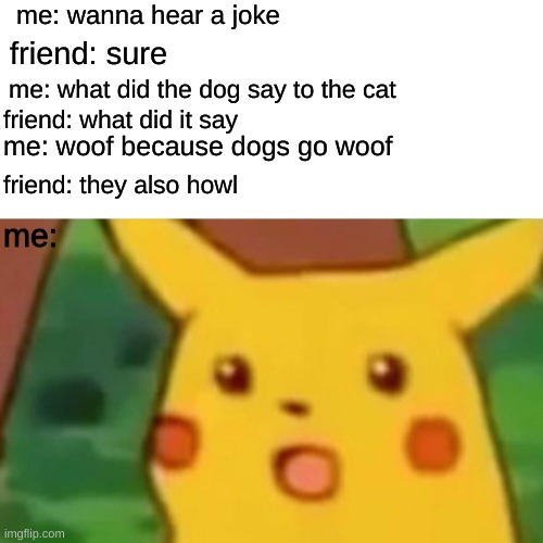 *brain struggling to process info* | me: wanna hear a joke; friend: sure; me: what did the dog say to the cat; friend: what did it say; me: woof because dogs go woof; friend: they also howl; me: | image tagged in memes,surprised pikachu | made w/ Imgflip meme maker