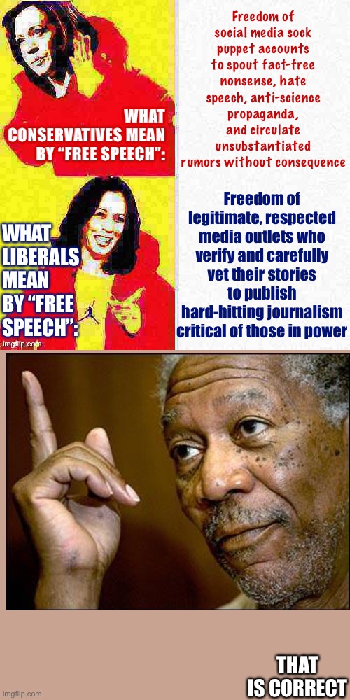 Free speech conservatives vs. liberals | THAT IS CORRECT | image tagged in free speech conservatives vs liberals | made w/ Imgflip meme maker