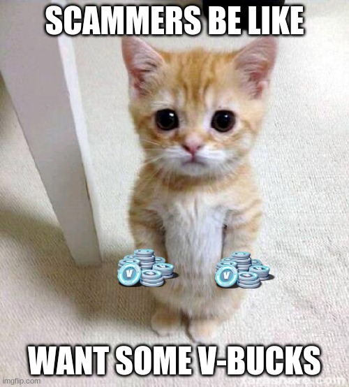 Cute Cat | SCAMMERS BE LIKE; WANT SOME V-BUCKS | image tagged in memes,cute cat | made w/ Imgflip meme maker