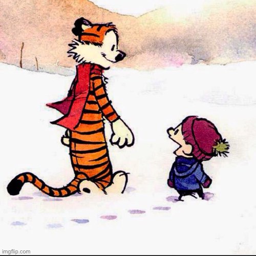 Calvin and hobbs | image tagged in calvin and hobbs | made w/ Imgflip meme maker