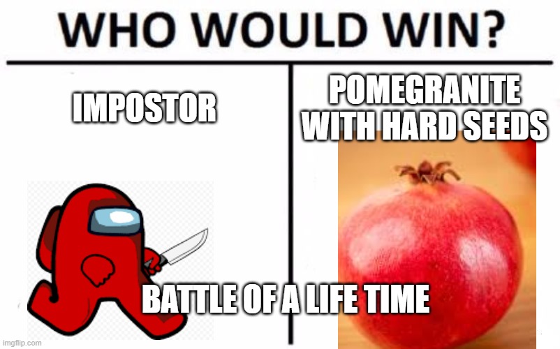 Who Would Win? | IMPOSTOR; POMEGRANITE WITH HARD SEEDS; BATTLE OF A LIFE TIME | image tagged in memes,who would win | made w/ Imgflip meme maker