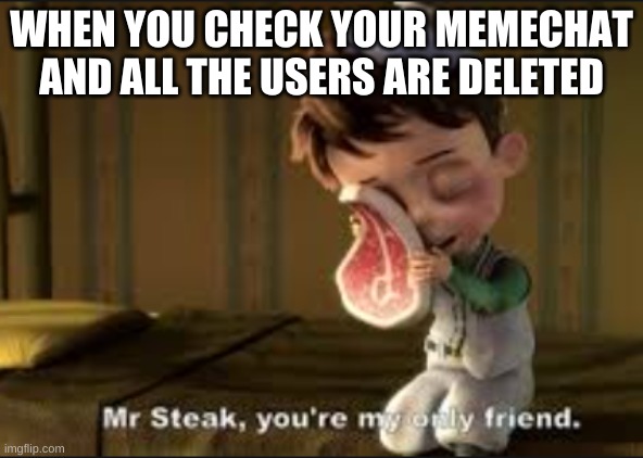 WHEN YOU CHECK YOUR MEMECHAT AND ALL THE USERS ARE DELETED | made w/ Imgflip meme maker