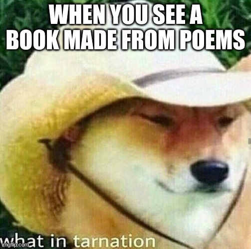 How is this possible, poetry is too short. | WHEN YOU SEE A BOOK MADE FROM POEMS | image tagged in what in tarnation dog | made w/ Imgflip meme maker