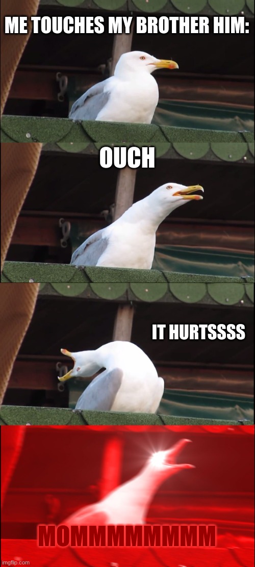 Inhaling Seagull | ME TOUCHES MY BROTHER HIM:; OUCH; IT HURTSSSS; MOMMMMMMMM | image tagged in memes,inhaling seagull,funny,true story | made w/ Imgflip meme maker