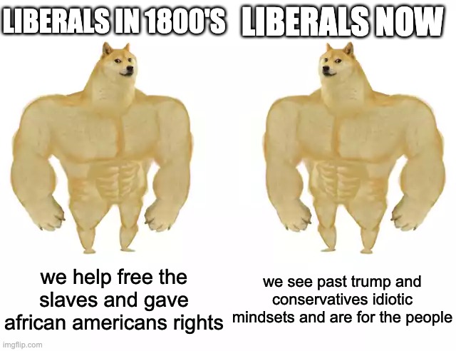 Conservatives Suck | LIBERALS IN 1800'S; LIBERALS NOW; we help free the slaves and gave african americans rights; we see past trump and conservatives idiotic mindsets and are for the people | image tagged in buff doge vs buff doge,conservatives suck,trump sucks | made w/ Imgflip meme maker