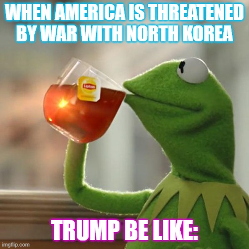 WHENEVER TRUMP THROWS TWEET BOASTING ANOUT NORTH KOREA | WHEN AMERICA IS THREATENED BY WAR WITH NORTH KOREA; TRUMP BE LIKE: | image tagged in memes,but that's none of my business,kermit the frog | made w/ Imgflip meme maker