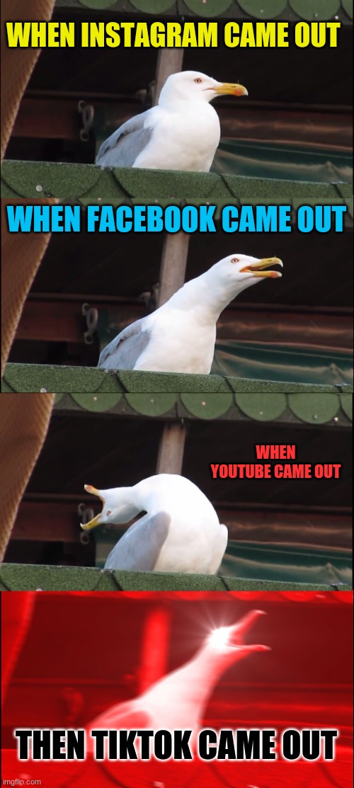 Inhaling Seagull Meme | WHEN INSTAGRAM CAME OUT; WHEN FACEBOOK CAME OUT; WHEN YOUTUBE CAME OUT; THEN TIKTOK CAME OUT | image tagged in memes,inhaling seagull | made w/ Imgflip meme maker