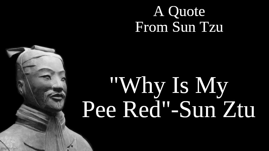 Sun Tzu | A Quote From Sun Tzu; "Why Is My Pee Red"-Sun Ztu | image tagged in sun tzu | made w/ Imgflip meme maker