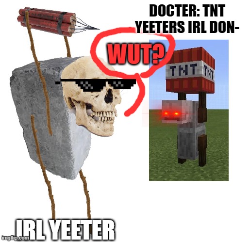 IRL yeeter | DOCTER: TNT YEETERS IRL DON-; WUT? IRL YEETER | image tagged in yeeter,minecraft | made w/ Imgflip meme maker