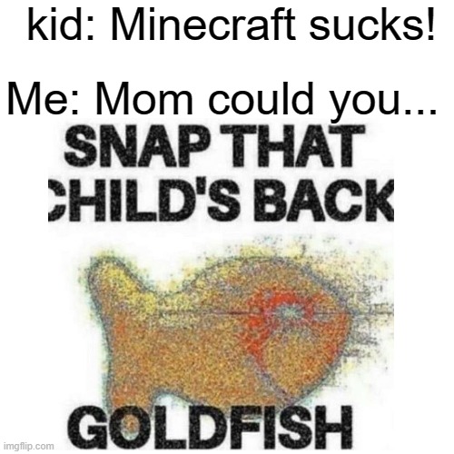 kid: Minecraft sucks! Me: Mom could you... | image tagged in snap | made w/ Imgflip meme maker