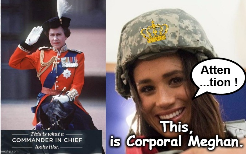 THIS is the Commander-in-Chief | Atten
  ...tion ! This,
is Corporal Meghan. | image tagged in bernie sanders megaphone | made w/ Imgflip meme maker