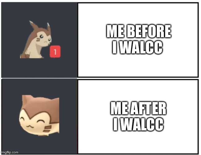 Furret Walcc | ME BEFORE I WALCC; ME AFTER I WALCC | image tagged in furret meme template | made w/ Imgflip meme maker