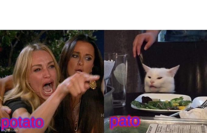 funny lol cat | pato; potato | image tagged in memes,woman yelling at cat,funny memes | made w/ Imgflip meme maker