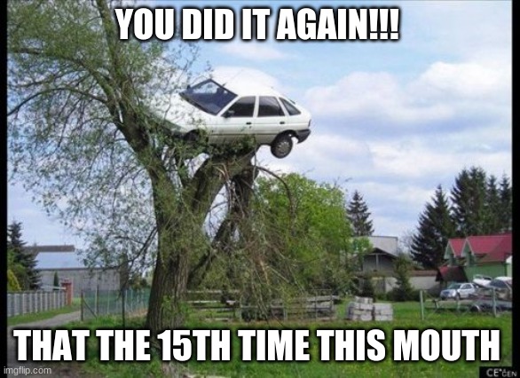 Secure Parking | YOU DID IT AGAIN!!! THAT THE 15TH TIME THIS MOUTH | image tagged in memes,secure parking | made w/ Imgflip meme maker