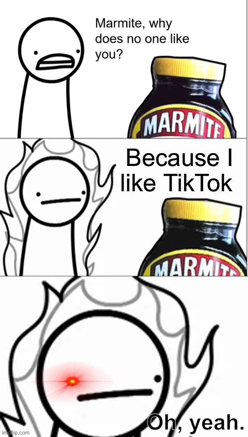 Go Away TikTok | Because I like TikTok | image tagged in marmite why does no one like you | made w/ Imgflip meme maker