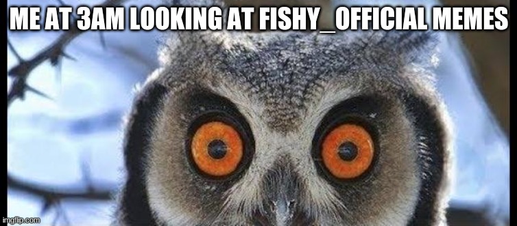 Great memer | ME AT 3AM LOOKING AT FISHY_OFFICIAL MEMES | image tagged in i fixed it for you,- fishy_official | made w/ Imgflip meme maker