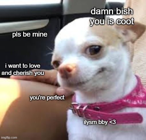 damn bish you is coot; pls be mine; i want to love and cherish you; you're perfect; ilysm bby <3 | made w/ Imgflip meme maker