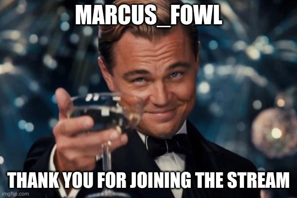 Thank you | MARCUS_FOWL; THANK YOU FOR JOINING THE STREAM | image tagged in memes,leonardo dicaprio cheers | made w/ Imgflip meme maker