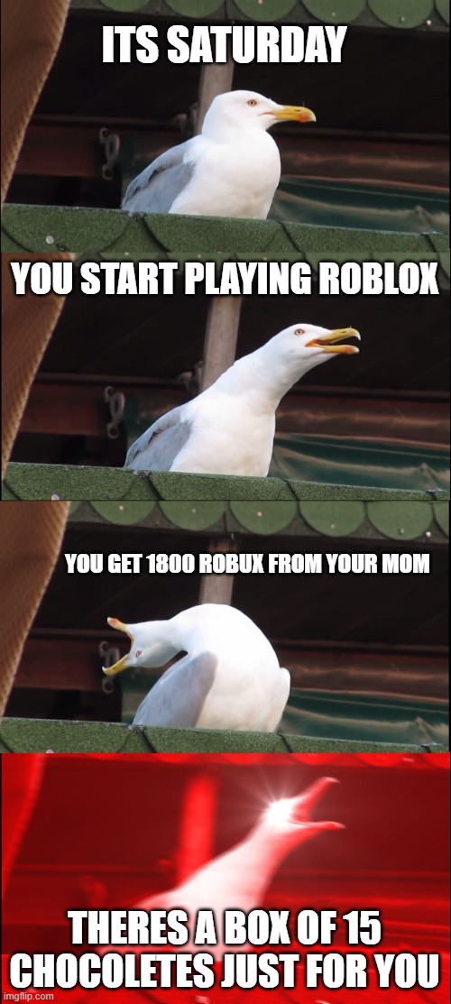 perfect saturday. | ITS SATURDAY; YOU START PLAYING ROBLOX; YOU GET 1800 ROBUX FROM YOUR MOM; THERES A BOX OF 15 CHOCOLETES JUST FOR YOU | image tagged in memes,inhaling seagull | made w/ Imgflip meme maker