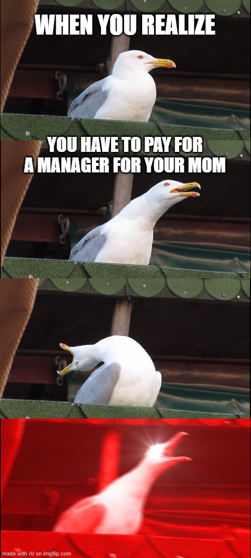 Inhaling Seagull | WHEN YOU REALIZE; YOU HAVE TO PAY FOR A MANAGER FOR YOUR MOM | image tagged in memes,inhaling seagull | made w/ Imgflip meme maker