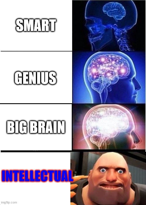 Expanding Brain Meme | SMART; GENIUS; BIG BRAIN; INTELLECTUAL | image tagged in memes,expanding brain | made w/ Imgflip meme maker