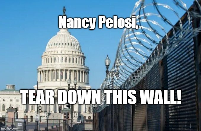 Tear Down This Wall! | Nancy Pelosi, TEAR DOWN THIS WALL! | image tagged in congress,democrat congressmen,politics,capitol hill | made w/ Imgflip meme maker