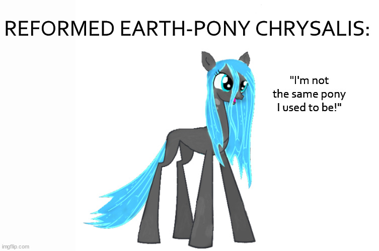 Any opinions or suggestions? Leave a comment! | REFORMED EARTH-PONY CHRYSALIS:; "I'm not the same pony I used to be!" | image tagged in mlp | made w/ Imgflip meme maker