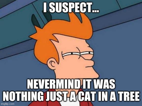 Futurama Fry | I SUSPECT... NEVERMIND IT WAS NOTHING JUST A CAT IN A TREE | image tagged in memes,futurama fry | made w/ Imgflip meme maker