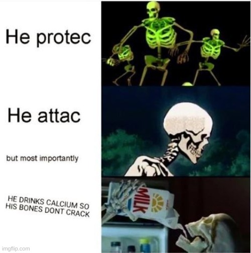 image tagged in he protec he attac but most importantly,he da snac | made w/ Imgflip meme maker