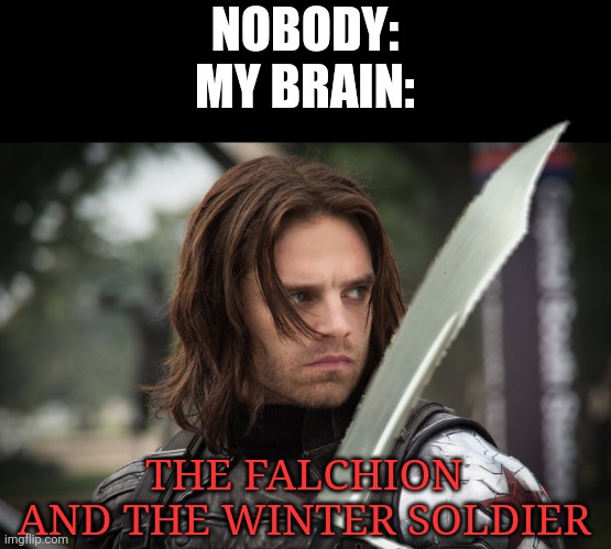 Oh yeah  | NOBODY:
MY BRAIN:; THE FALCHION AND THE WINTER SOLDIER | image tagged in winter soldier,falcon,falchion,swords,my brain | made w/ Imgflip meme maker