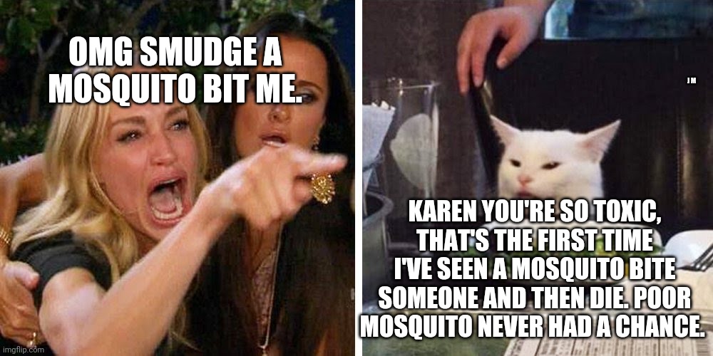 Smudge the cat | OMG SMUDGE A MOSQUITO BIT ME. J M; KAREN YOU'RE SO TOXIC, THAT'S THE FIRST TIME I'VE SEEN A MOSQUITO BITE SOMEONE AND THEN DIE. POOR MOSQUITO NEVER HAD A CHANCE. | image tagged in smudge the cat | made w/ Imgflip meme maker