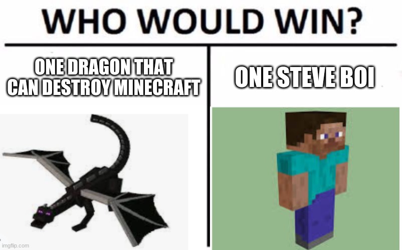 WHO WOULD WIN? | ONE DRAGON THAT CAN DESTROY MINECRAFT; ONE STEVE BOI | image tagged in minecraft | made w/ Imgflip meme maker