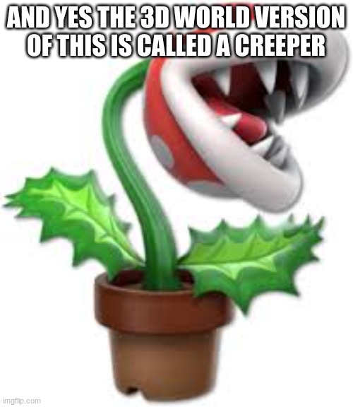 piranha plant | AND YES THE 3D WORLD VERSION OF THIS IS CALLED A CREEPER | image tagged in piranha plant | made w/ Imgflip meme maker