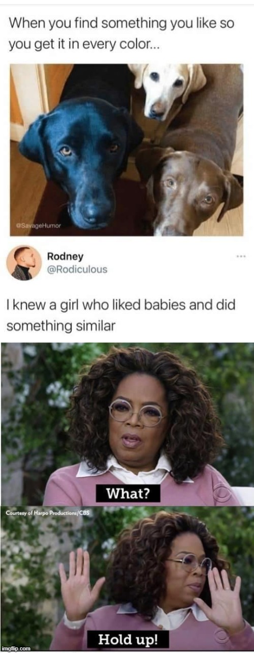 Oprah has questions for you Rodney | image tagged in oprah meghan,repost,dark humor,racism,racist,that's racist | made w/ Imgflip meme maker