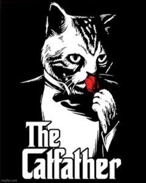 The Catfather | image tagged in the catfather | made w/ Imgflip meme maker