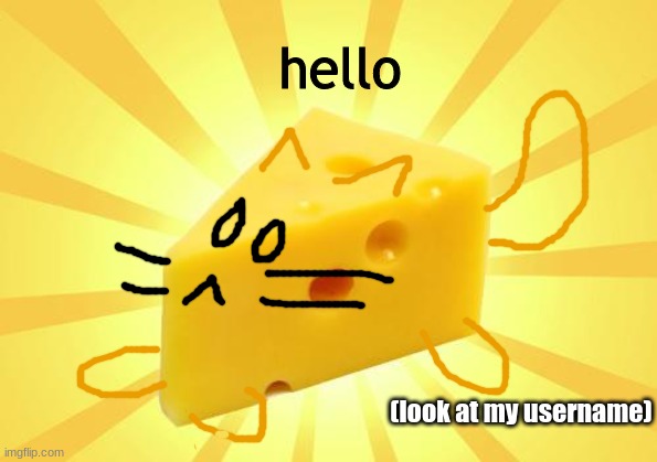 Cheese Cat in Real Life | hello; (look at my username) | image tagged in cheese,cat | made w/ Imgflip meme maker