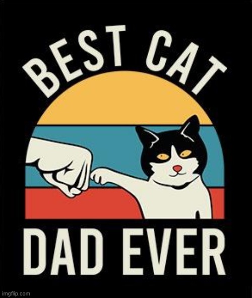 eyyy that's me | image tagged in best cat dad ever,new template,cats,cat,dad,t-shirt | made w/ Imgflip meme maker