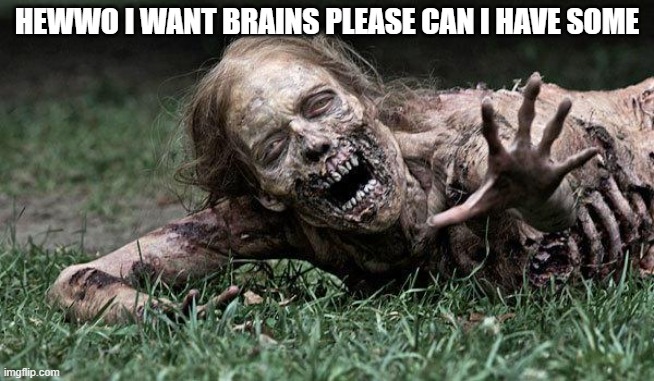 Walking Dead Zombie | HEWWO I WANT BRAINS PLEASE CAN I HAVE SOME | image tagged in walking dead zombie | made w/ Imgflip meme maker