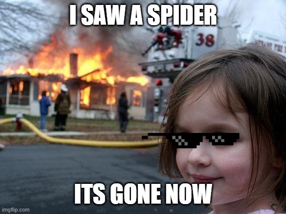 spider die | I SAW A SPIDER; ITS GONE NOW | image tagged in memes,disaster girl | made w/ Imgflip meme maker