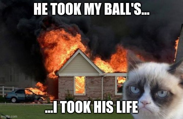 Burn Kitty |  HE TOOK MY BALL'S... ...I TOOK HIS LIFE | image tagged in memes,burn kitty,grumpy cat | made w/ Imgflip meme maker
