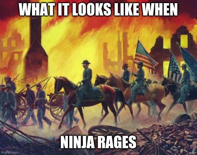 Georgia’s Sad History | WHAT IT LOOKS LIKE WHEN; NINJA RAGES | image tagged in georgia s sad history | made w/ Imgflip meme maker