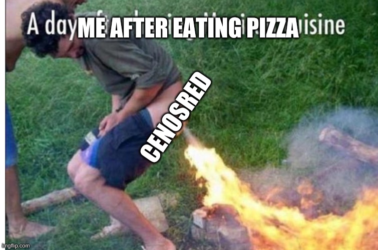 Pizza rocket | ME AFTER EATING PIZZA; CENOSRED | image tagged in funny,fart,fire | made w/ Imgflip meme maker
