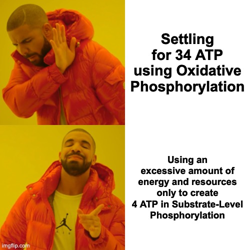 Drake Hotline Bling | Settling for 34 ATP using Oxidative Phosphorylation; Using an excessive amount of energy and resources only to create 4 ATP in Substrate-Level Phosphorylation | image tagged in memes,drake hotline bling | made w/ Imgflip meme maker