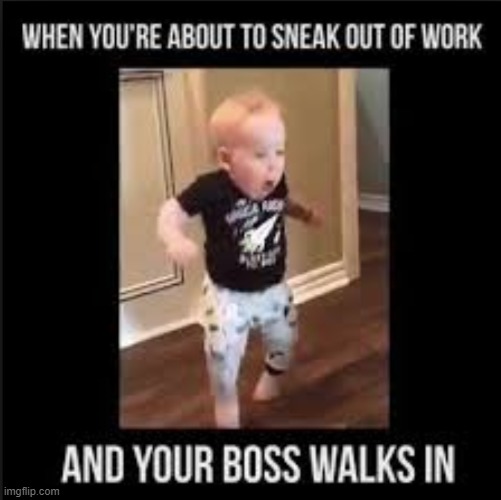 I wasn't doing nothing | image tagged in funny | made w/ Imgflip meme maker