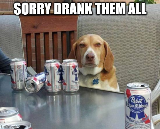 dog beer | SORRY DRANK THEM ALL | image tagged in dog beer | made w/ Imgflip meme maker