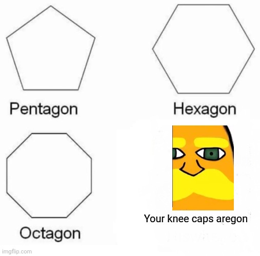 Pentagon Hexagon Octagon | Your knee caps aregon | image tagged in memes,pentagon hexagon octagon | made w/ Imgflip meme maker