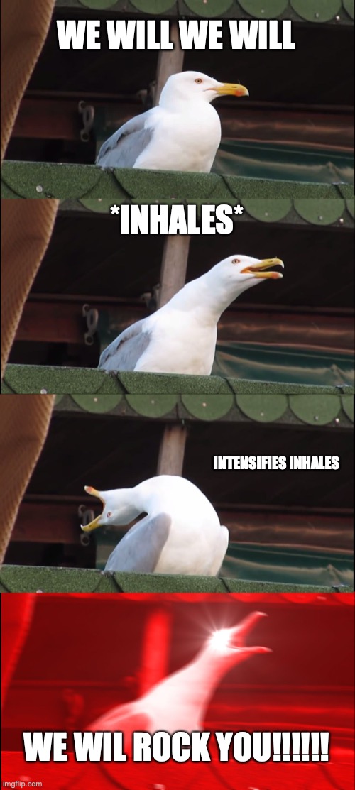 bird |  WE WILL WE WILL; *INHALES*; INTENSIFIES INHALES; WE WIL ROCK YOU!!!!!! | image tagged in memes,inhaling seagull | made w/ Imgflip meme maker