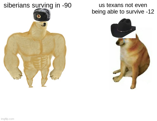 soooo true... | siberians surving in -90; us texans not even being able to survive -12 | image tagged in memes,buff doge vs cheems | made w/ Imgflip meme maker